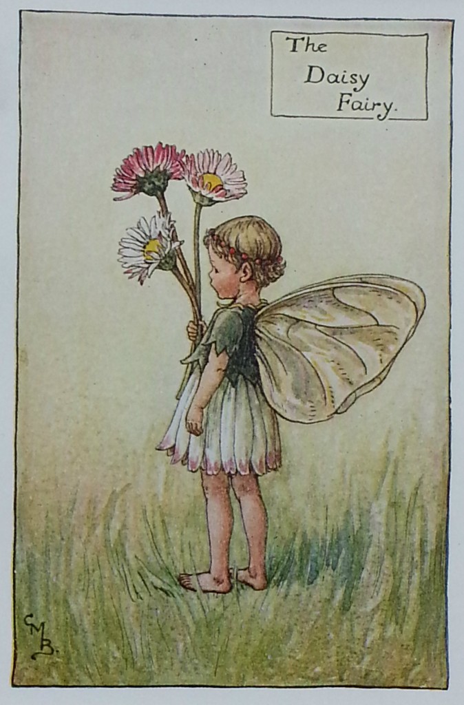 The Daisy Flower Fairy